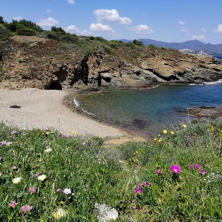 Вілла Casa Platja D'En Robert El Port De La Selva Екстер'єр фото