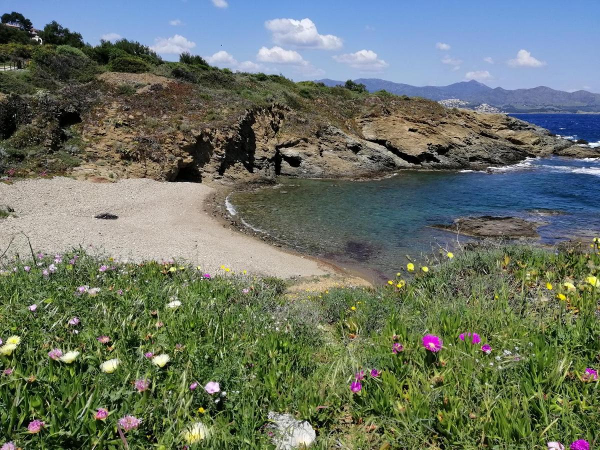 Вілла Casa Platja D'En Robert El Port De La Selva Екстер'єр фото